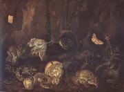 SCHRIECK, Otto Marseus van Still Life with Insects and Amphibians (mk14) Sweden oil painting artist